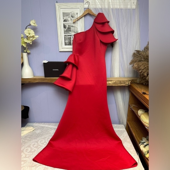 Gorgeous plus size dress - Picture 8 of 16